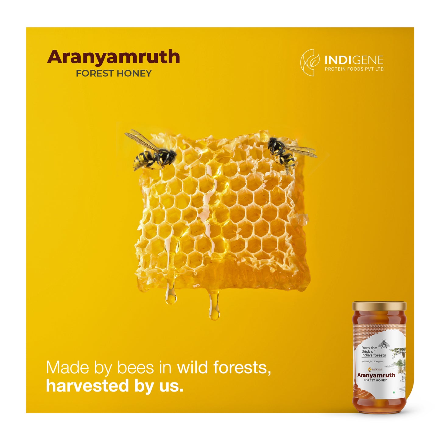 Forest Honey